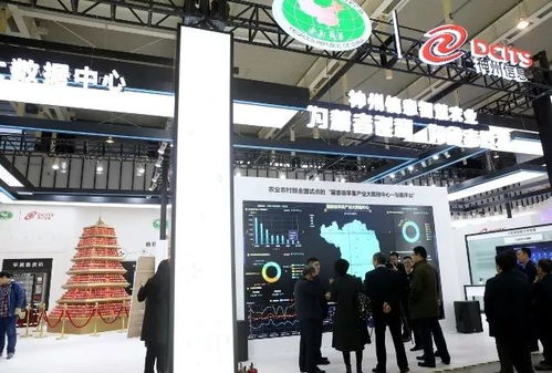 数字赋能农业新图景 陕西特色农产品与新农民在“双新双创”博览会绽放异彩